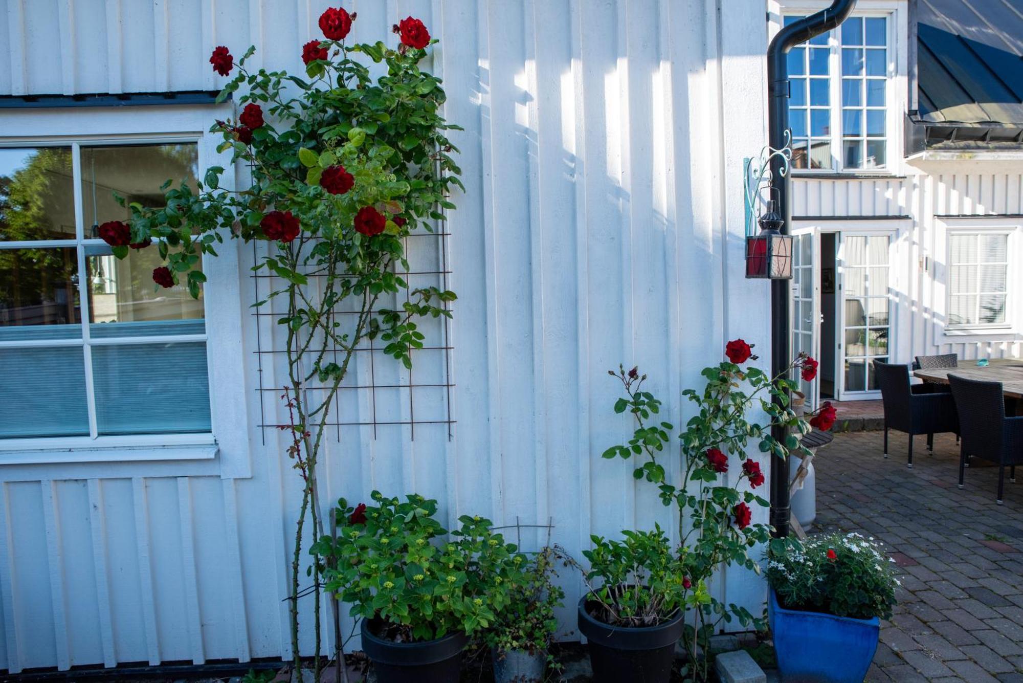 Guest House Tullgatan 24 Борихолм Екстериор снимка